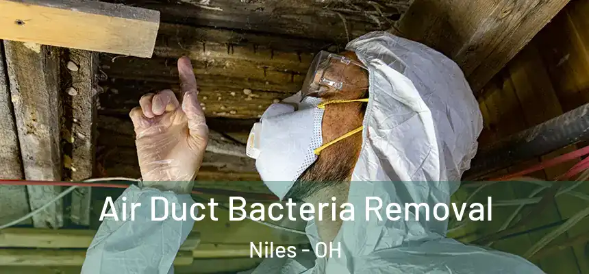  Air Duct Bacteria Removal Niles - OH