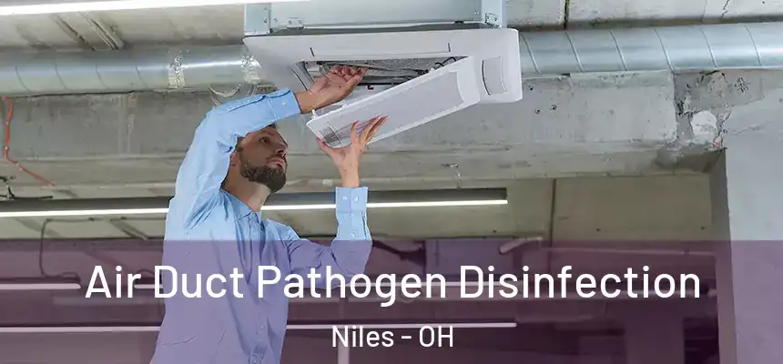 Air Duct Pathogen Disinfection Niles - OH