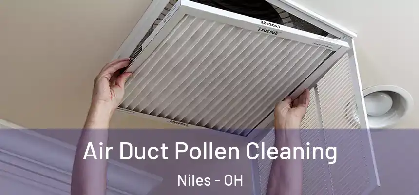  Air Duct Pollen Cleaning Niles - OH