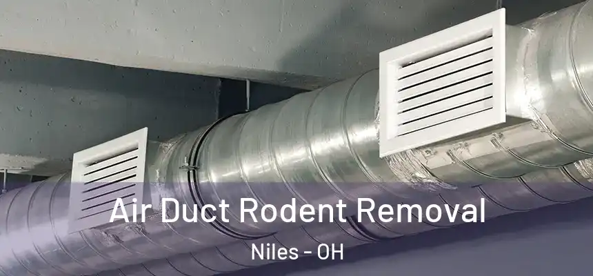  Air Duct Rodent Removal Niles - OH