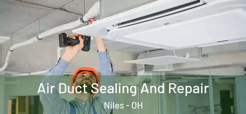  Air Duct Sealing And Repair Niles - OH