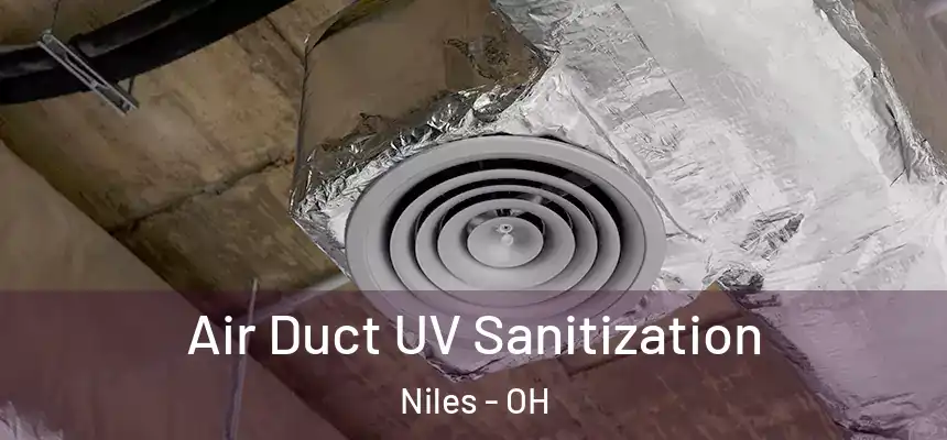  Air Duct UV Sanitization Niles - OH