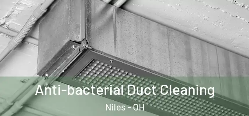  Anti-bacterial Duct Cleaning Niles - OH