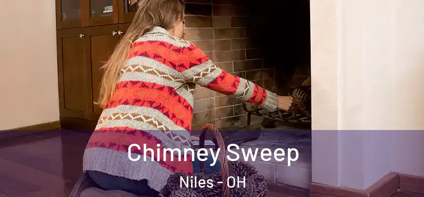 Chimney Sweep Niles - OH