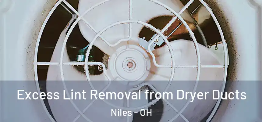  Excess Lint Removal from Dryer Ducts Niles - OH