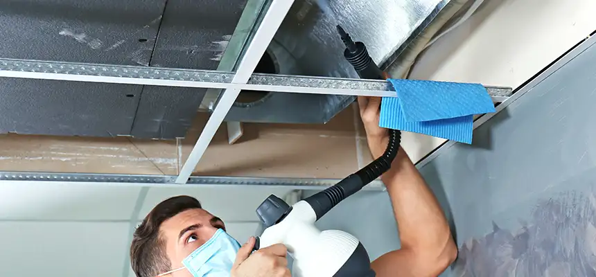 Our Air Duct Rodent Removal Services in Niles, OH