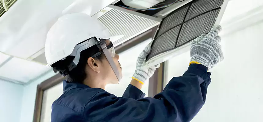 Our Mold & Mildew Removal from Air Ducts Services in Niles, OH