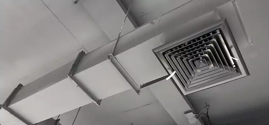 Our Rodent Droppings In Vents Services in Niles, OH