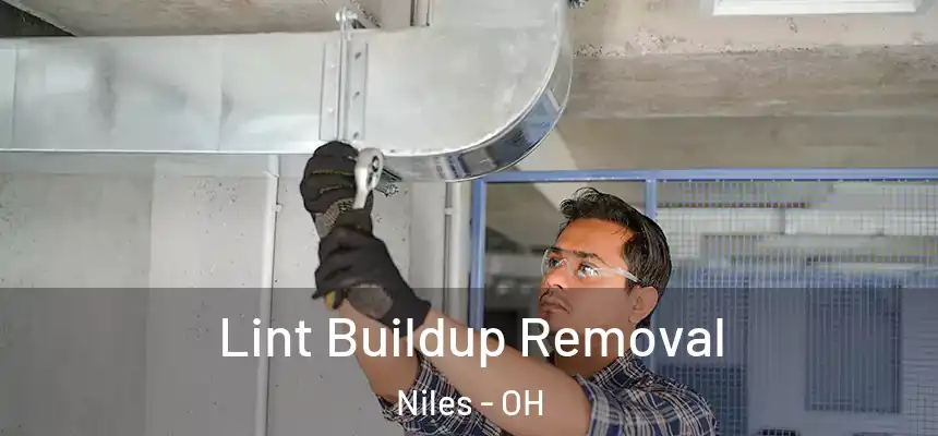  Lint Buildup Removal Niles - OH