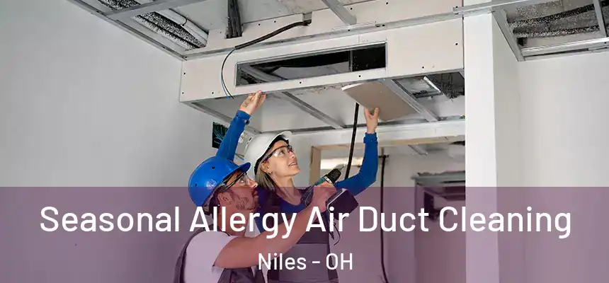  Seasonal Allergy Air Duct Cleaning Niles - OH