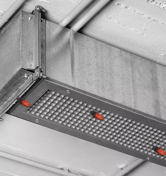 About Air Duct Cockroach Removal in Niles, OH