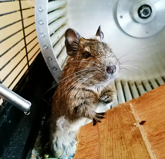 Why Homeowners & Businesses Trust Us Niles, OH?